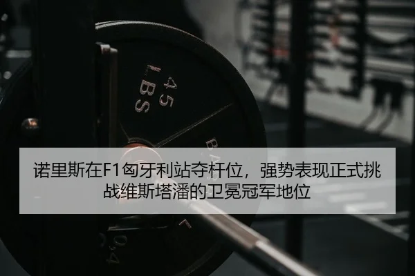 诺里斯在F1匈牙利站夺杆位，强势表现正式挑战维斯塔潘的卫冕冠军地位